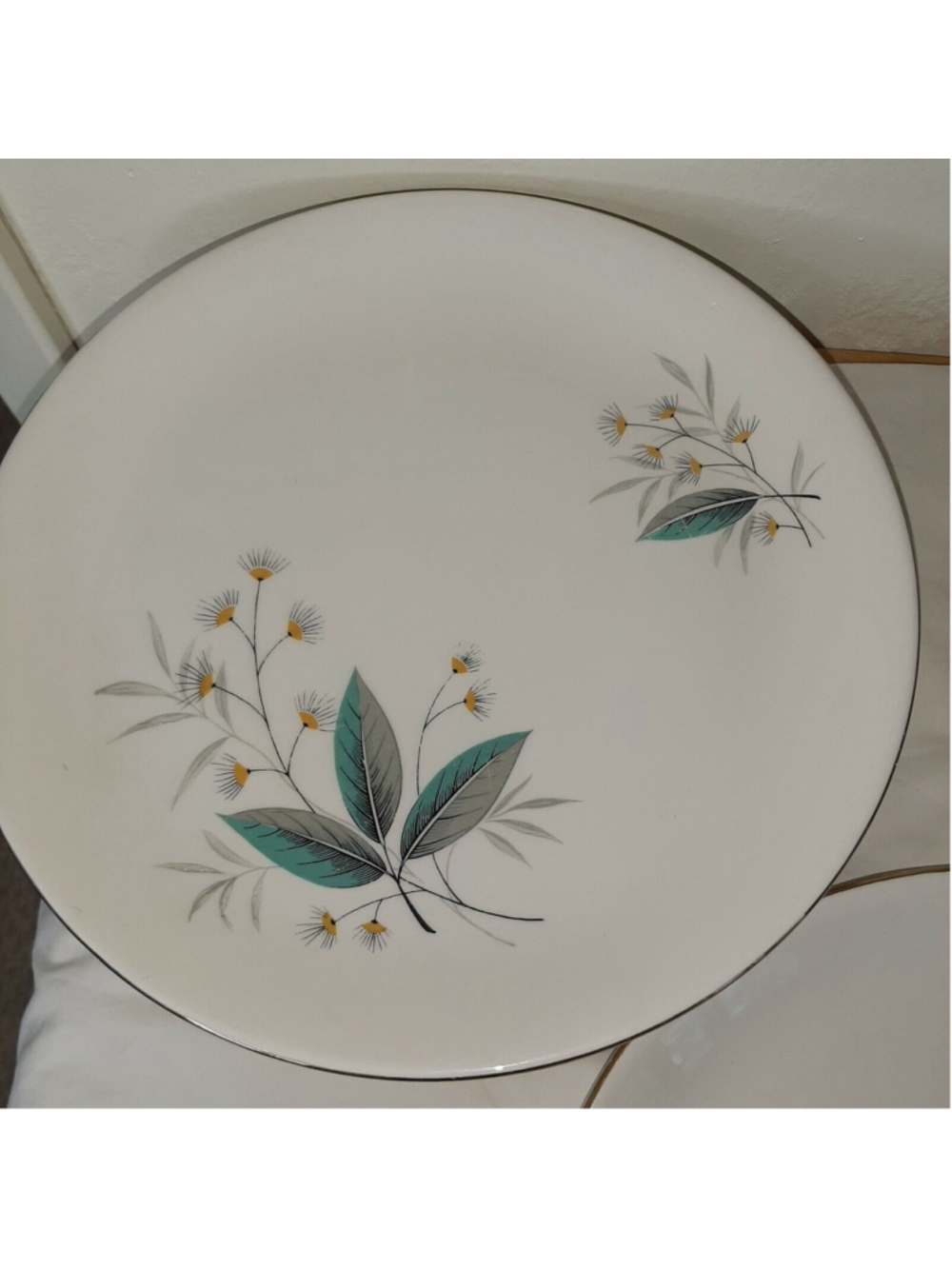 Early mid-century (1946) Swinnertons England Fantasia | Dinner Plates x 9